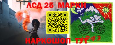 гидра Ливны