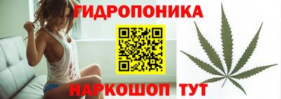 гидра Ливны