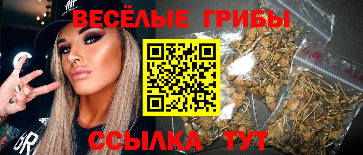 Галлюциногенные грибы GOLDEN TEACHER Холмск