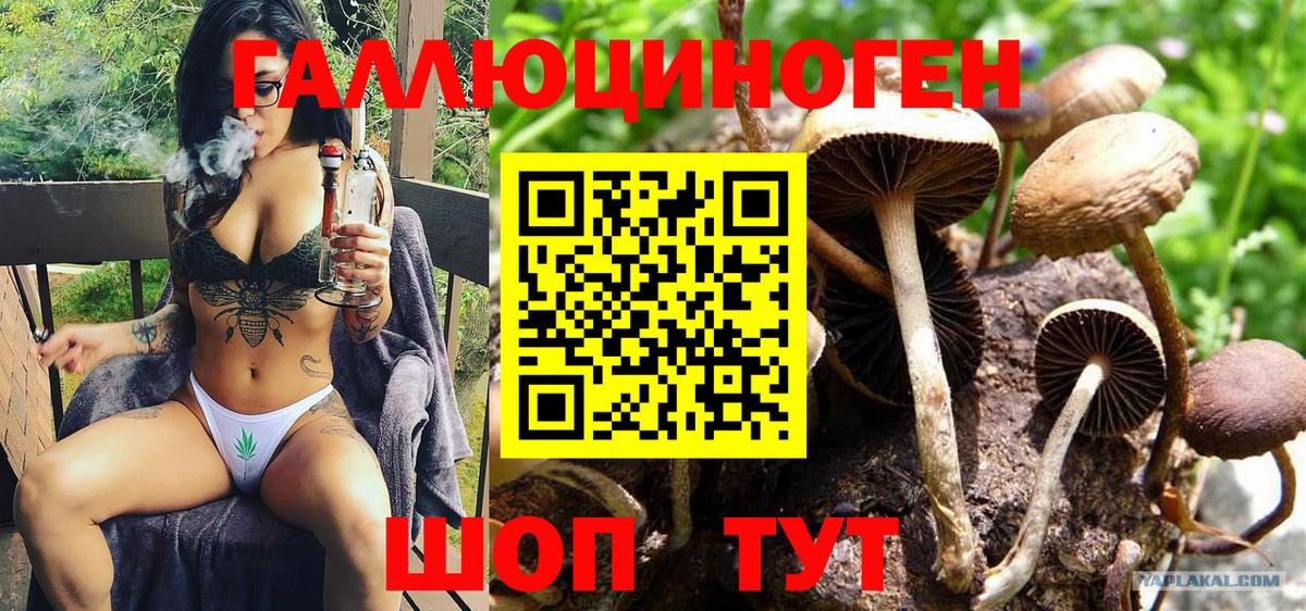 Холмск  Галлюциногенные грибы мухоморы  Вход с VPN 